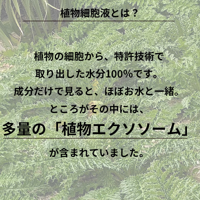 【送料無料】セルバンス®️細胞液 4本瓶セット