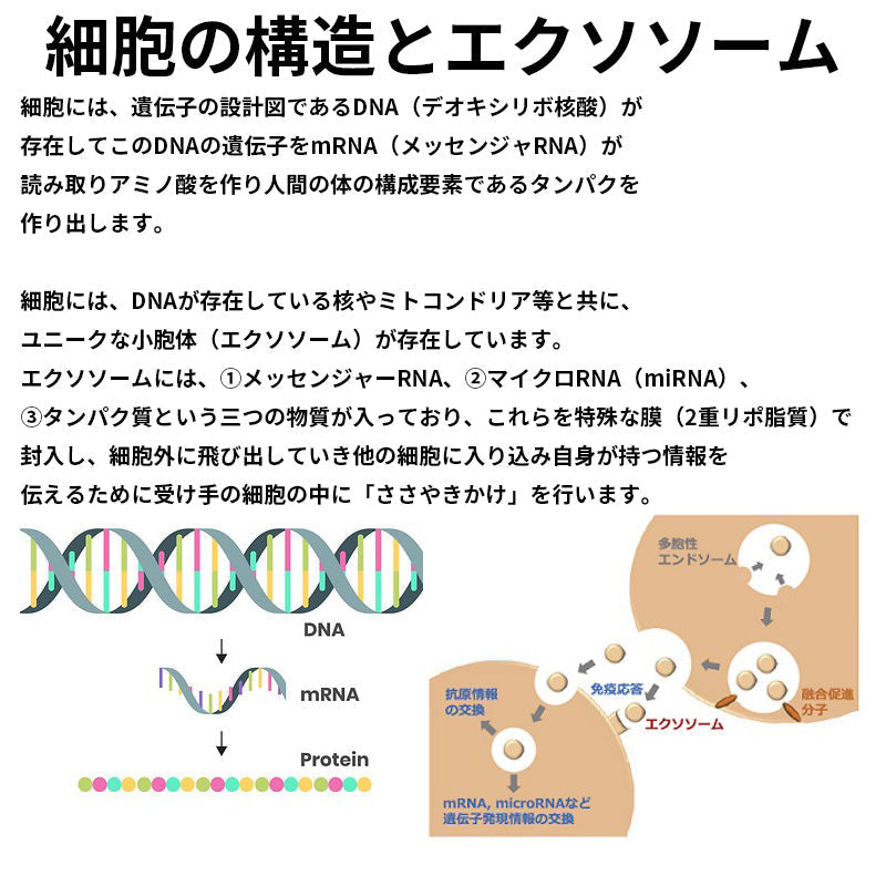 【送料無料】セルバンス®️細胞液 4本瓶セット