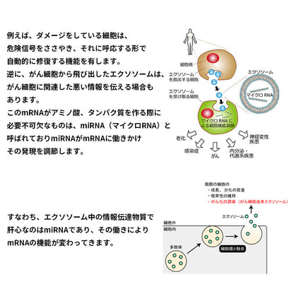 【送料無料】セルバンス®️細胞液 4本瓶セット