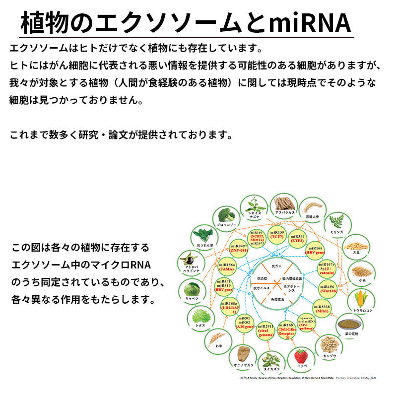 【送料無料】セルバンス®️細胞液 4本瓶セット