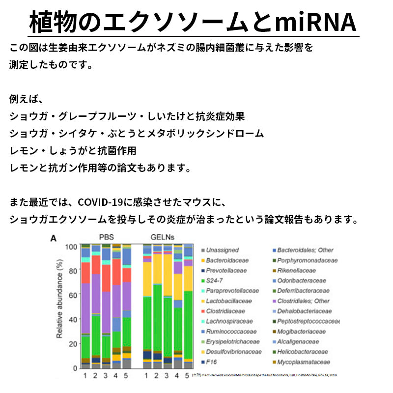 【送料無料】セルバンス®️細胞液 4本瓶セット