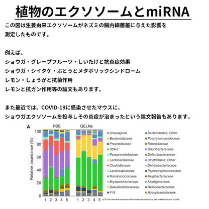 【送料無料】セルバンス®️細胞液 4本瓶セット