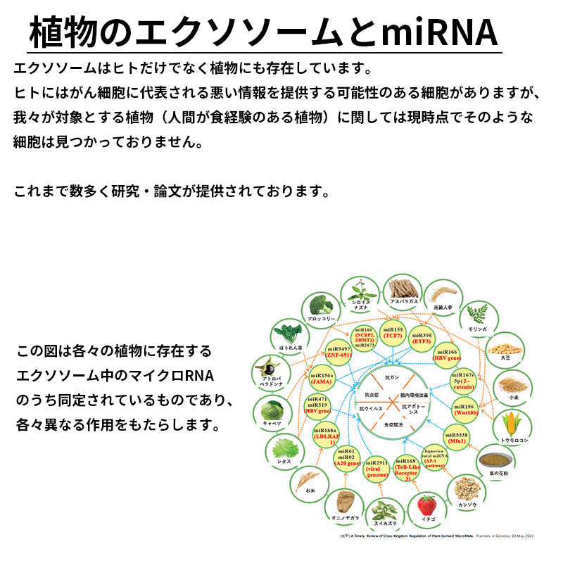 セルバンス®️細胞液シマアザミ